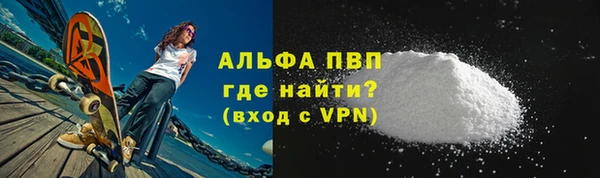 индика Алексин