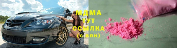 индика Алексин