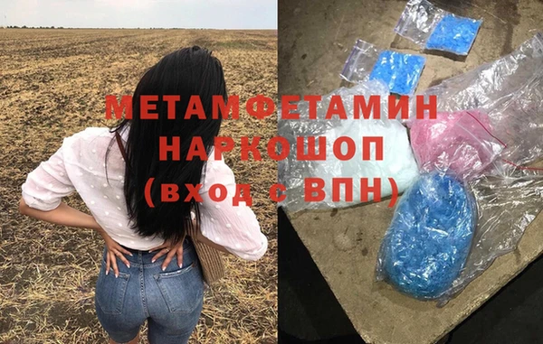 индика Алексин