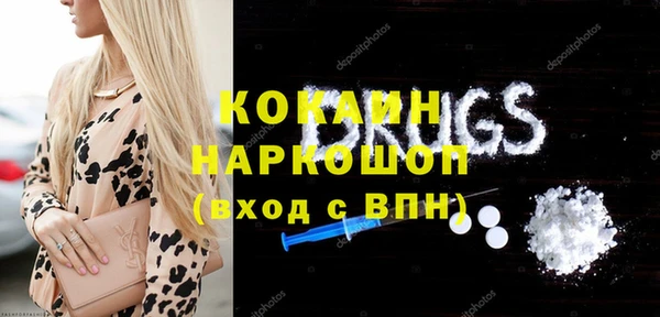индика Алексин