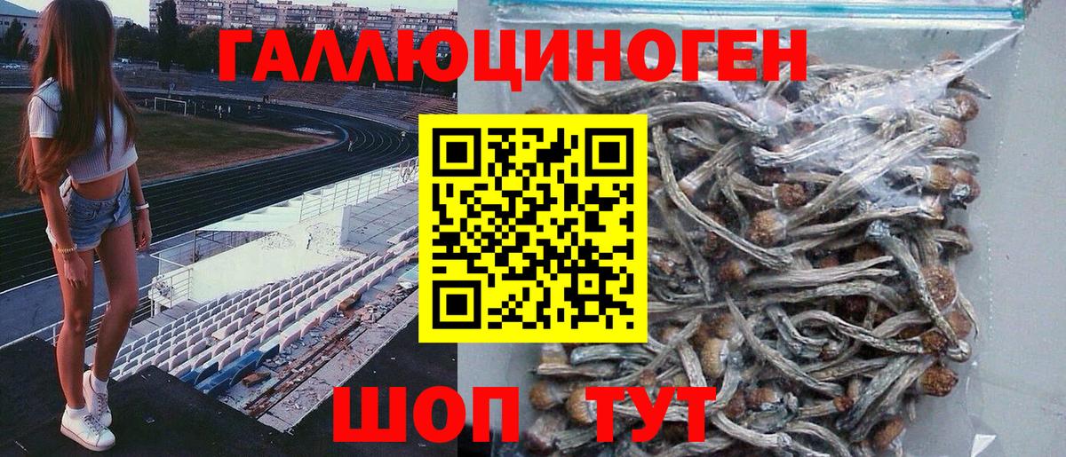 Псилоцибиновые грибы MAGIC MUSHROOMS Михайловск