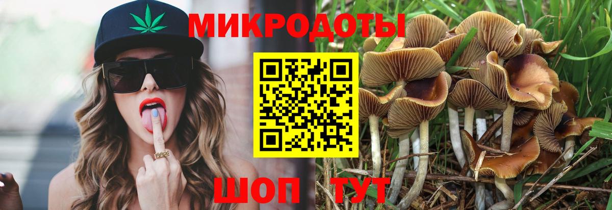 Галлюциногенные грибы GOLDEN TEACHER  Вход с VPN  Михайловск  Галлюциногенные грибы Psilocybe 